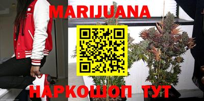 трава Ярославль