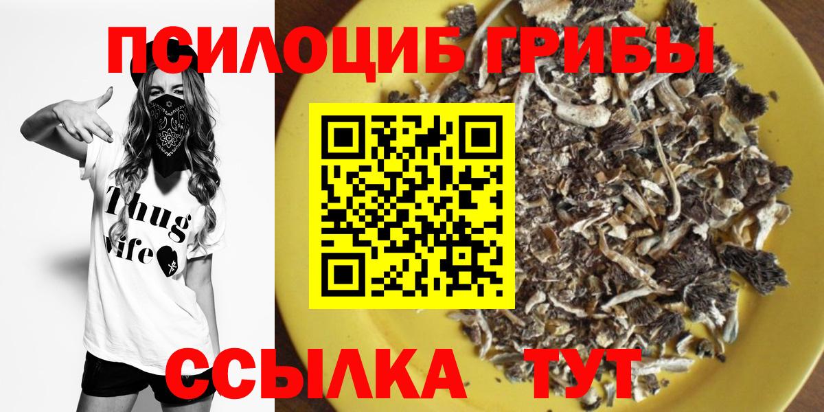 Сланцы  Псилоцибиновые грибы мицелий  Псилоцибиновые грибы Psilocybine cubensis  Вход с VPN 